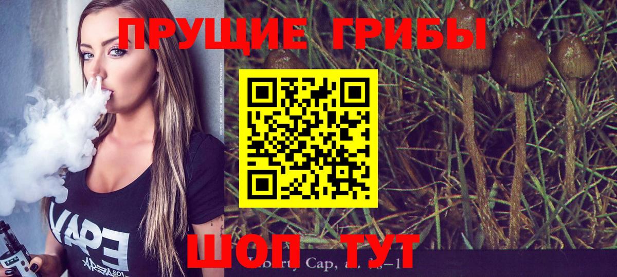 Ступино  Галлюциногенные грибы Psilocybe  Вход с VPN 